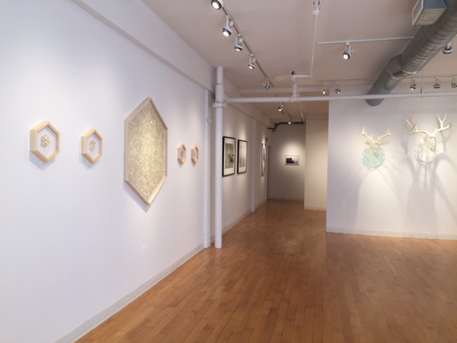 Installation View, All Natural, Kingston Gallery, Sept. 2015. L-R Greg Lookerse, Mary Lang, Christina Pitsch. 